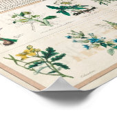 ヴィンテージ学校の開院表 ポスター (角)