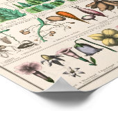 ヴィンテージ学校の開院表 ポスター (角)
