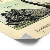 ヴィンテージ家畜化された動物byアドルフミロ ポスター (角)