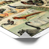 ヴィンテージ家畜化イラストレーション ポスター (角)