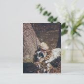 ヴィンテージ少年とその狩り犬 ポストカード (スタンド正面)