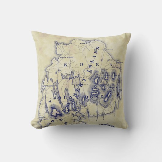 ヴィンテージ山デザートアイランドMNマップブルーティーステイン クッション (正面)