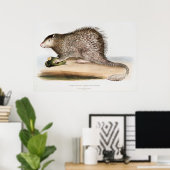 ヴィンテージ山嵐 ポスター (ホームオフィス)