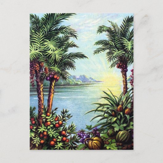 ヴィンテージ島 ポストカード (正面)