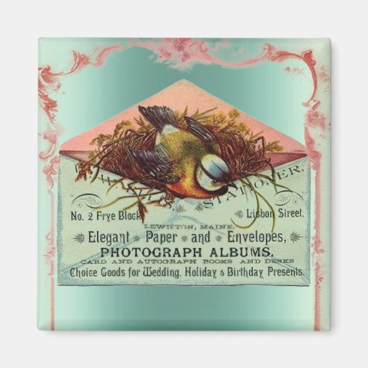 ヴィンテージ巣鳥ピンクティール(緑がかった色)かわいいエレガント マグネット (正面)