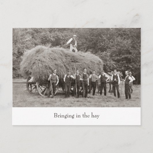 ヴィンテージ干し車用はがき ポストカード (正面)