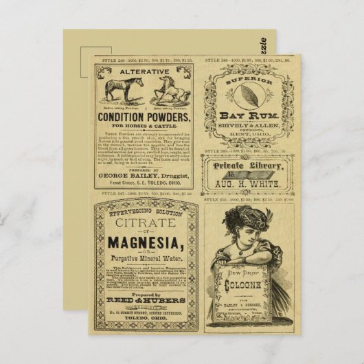 ヴィンテージ広告の新聞社の小売広告 ポストカード (正面/裏面)