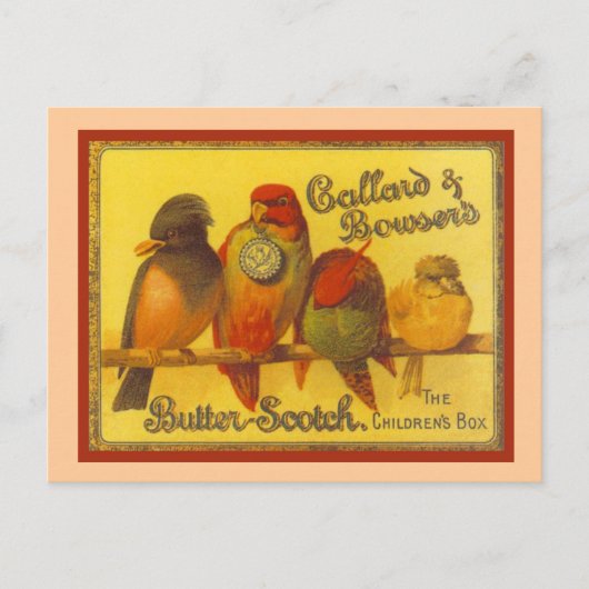 ヴィンテージ広告ズ、カラードとボウザー ポストカード (正面)