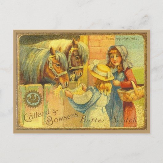 ヴィンテージ広告ズ、カラード、バウザー・バタースコット ポストカード (正面)