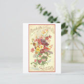 ヴィンテージ広告マンデビルフラワーシード ポストカード (スタンド正面)