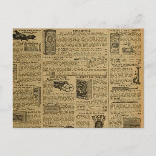 ヴィンテージ広告新聞チキン農家 ポストカード (正面)