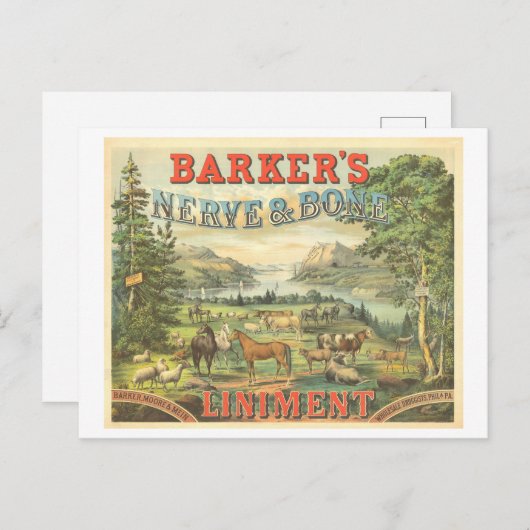 ヴィンテージ広告用馬用特許医薬品 ポストカード (正面/裏面)