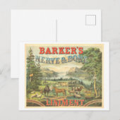 ヴィンテージ広告 馬用の特許薬 ポストカード (正面/裏面)