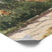 ヴィンテージ建築フォーマル園英語コテージ ポスター (角)