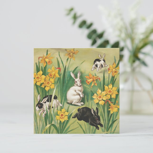 ヴィンテージ復活祭（1906年）、 (スタンド正面)