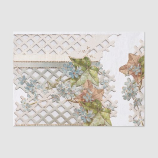 ヴィンテージ忘れ・メノッツ 薄葉紙 (正面)