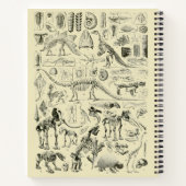 ヴィンテージ恐竜の骨の化石 ノートブック (裏面)