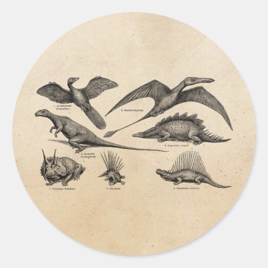 ヴィンテージ恐竜イラストレーションレトロ恐竜 ラウンドシール (正面)