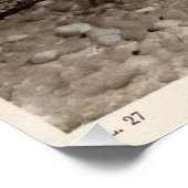 ヴィンテージ恐竜プリント#1 ポスター (コーナー)