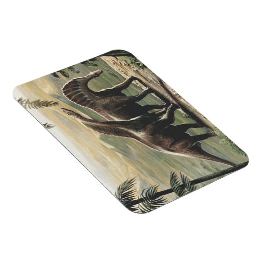 ヴィンテージ恐竜、ヤシの木を持つアマルガサウルス マグネット (右側)