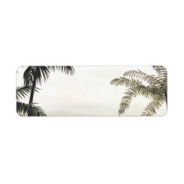 ヴィンテージ恐竜、ヤシの木を持つアマルガサウルス ラベル