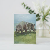 ヴィンテージ恐竜、牧草地のセントロザウルスの放牧 ポストカード (スタンド正面)