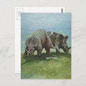 ヴィンテージ恐竜、牧草地のセントロザウルスの放牧 ポストカード (正面/裏面)