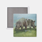 ヴィンテージ恐竜、牧草地のセントロザウルスの放牧 マグネット (正面/裏面)