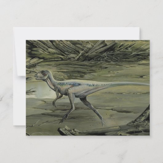 ヴィンテージ恐竜、白亜紀hyphsilopholdon (正面)