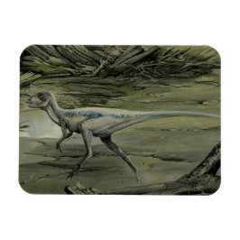 ヴィンテージ恐竜、白亜紀hyphsilopholdon マグネット