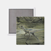 ヴィンテージ恐竜、白亜紀hyphsilopholdon マグネット (正面/裏面)