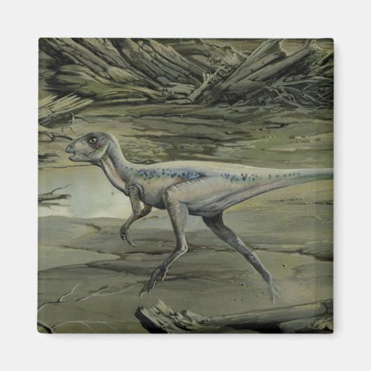 ヴィンテージ恐竜、白亜紀hyphsilopholdon マグネット (正面)