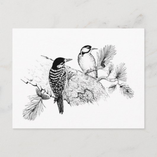 ヴィンテージ愛の鳥の結婚式の日付を保存 インビテーションポストカード (正面)