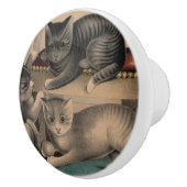 ヴィンテージ愛らしい子猫リトグラフ セラミックノブ (右)