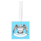 ヴィンテージ愛国イーグルプラークThunder_Cove キューブオーナメント (正面)