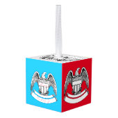 ヴィンテージ愛国イーグルプラークThunder_Cove キューブオーナメント (裏面アングル)