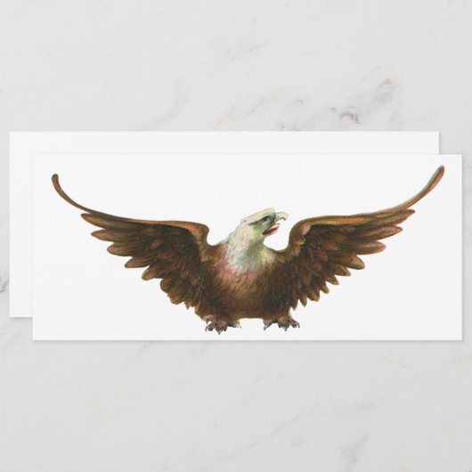 ヴィンテージ愛国主義アメリカのハゲ飛んでいるワシ (正面/裏面)