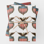 ヴィンテージ愛国主義誇りを持った、イーグル国旗 ラッピングペーパーシート (インサイチュ)