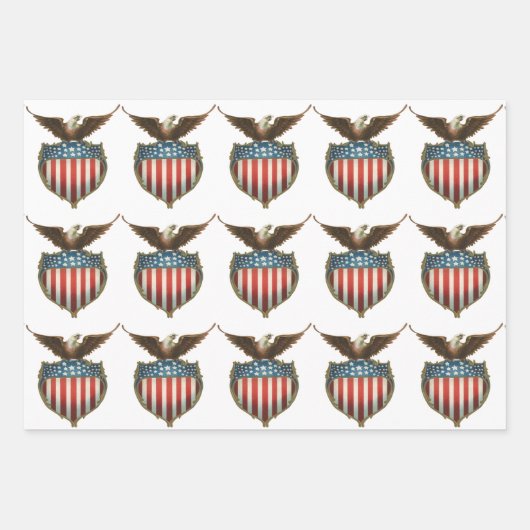 ヴィンテージ愛国主義誇りを持った、イーグル国旗 ラッピングペーパーシート (正面)
