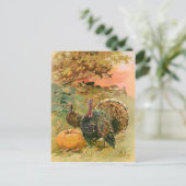 ヴィンテージ感謝祭の七面鳥とカボチャ シーズンポストカード (スタンド正面)