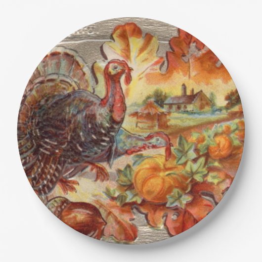 ヴィンテージ感謝祭トルコホリデー紙プレート ペーパープレート (正面)