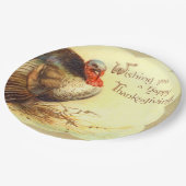 ヴィンテージ感謝祭トルコホリデー紙プレート ペーパープレート (アングル)