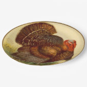 ヴィンテージ感謝祭トルコホリデー紙プレート ペーパープレート (アングル)