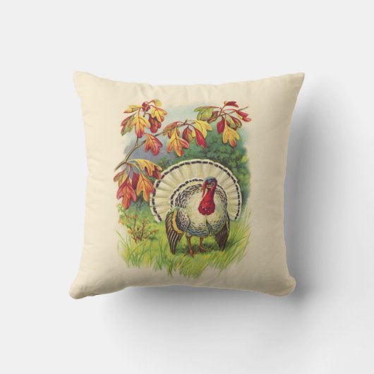 ヴィンテージ感謝祭トルコ枕 クッション (裏面)