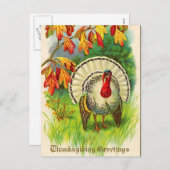 ヴィンテージ感謝祭トルコ シーズンポストカード (正面/裏面)