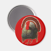 ヴィンテージ感謝祭トルコ マグネット (正面/裏面)