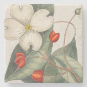 🍃ヴィンテージ手描きハナミズキ花イラストレーション ストーンコースター (正面)