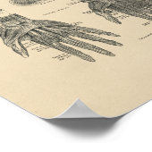 ヴィンテージ手筋肉解剖学1880プリント ポスター (角)