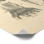 ヴィンテージ手解剖学1880プリント ポスター (角)