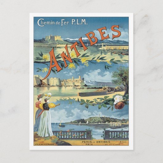 ヴィンテージ抗地中海の菌 ポストカード (正面)